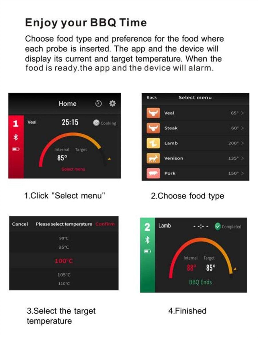 Precision wireless meat thermometer - Sports, Wine & Gadgets